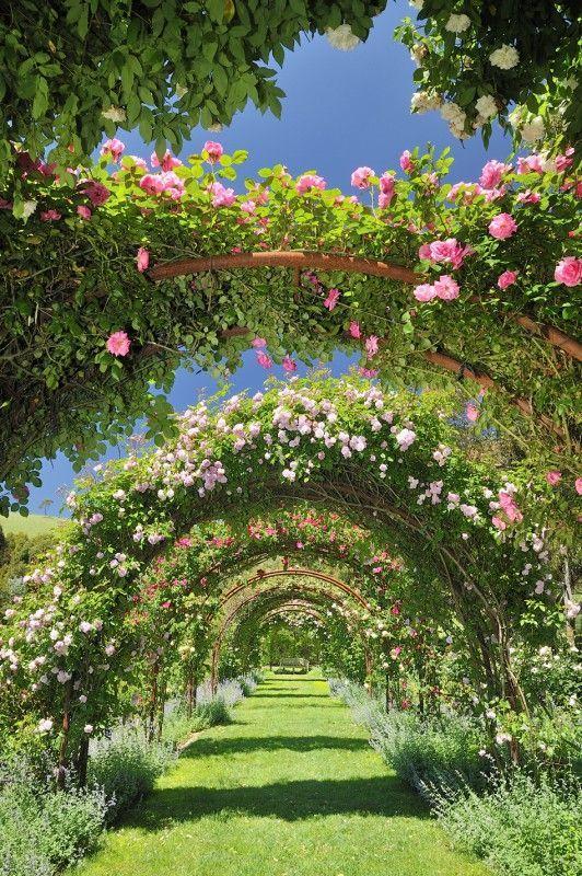Whispering Meadow: Effortless Grace Bouquet